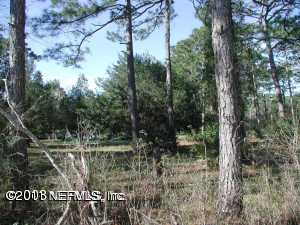 11275 OLD DIXIE, Nocatee in St. Johns County, FL 32081 Home for Sale